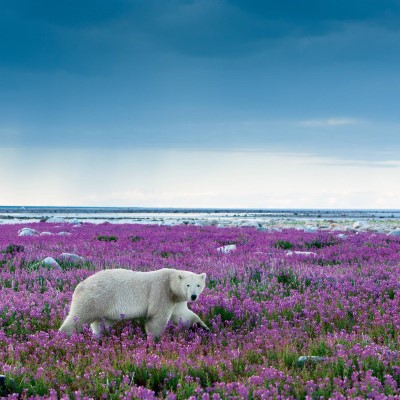 1920 x 1080 HD Wallpapers 2310